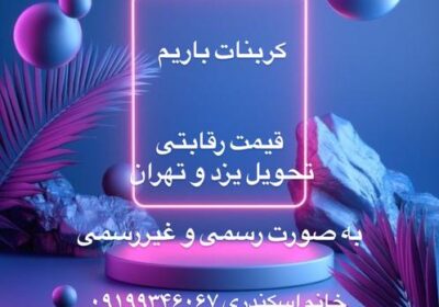 e1e6ee80-8256-4cc1-b54c-531bb5a4f5f5